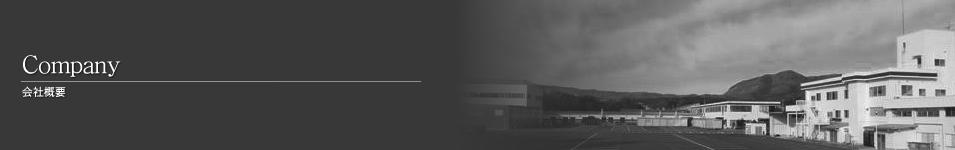 Company 会社概要