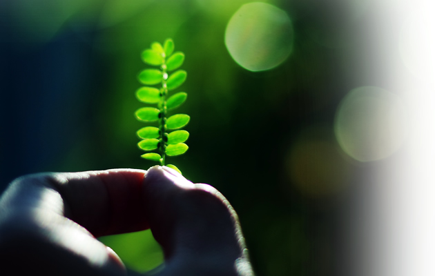 地球にやさしく